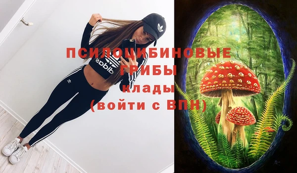 тгк Покачи