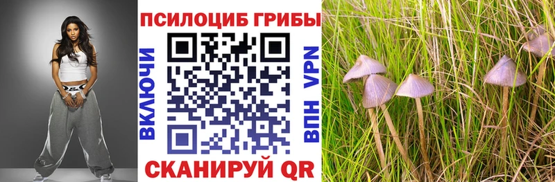 Галлюциногенные грибы GOLDEN TEACHER  Купить где  Изобильный 